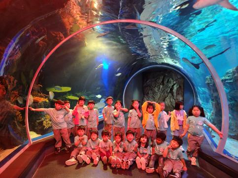 유치원 5월 현장체험학습